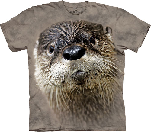  The Mountain - North American River Otter