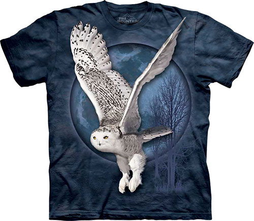  The Mountain - Snow Owl Moon