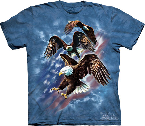  The Mountain - Patriotic Eagle Collage