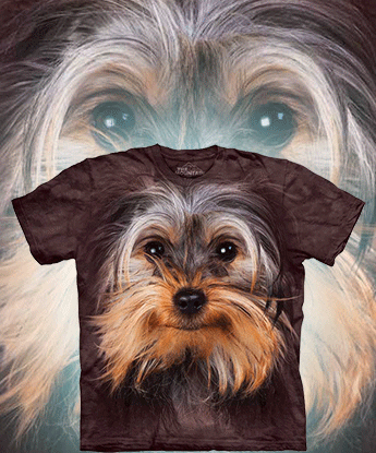  The Mountain - Yorkshire Terrier Face