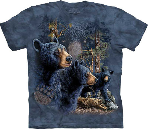  The Mountain - Find 13 Black Bears