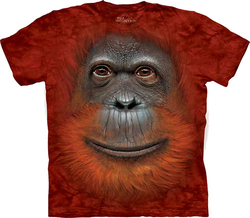  The Mountain - Orangutan Face