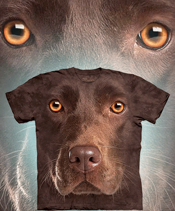  The Mountain - Chocolate Lab Face - 