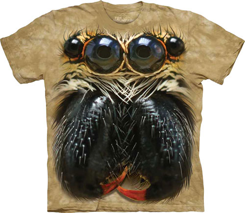  The Mountain - Jumping Spider Face