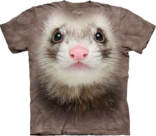  The Mountain - Ferret Face