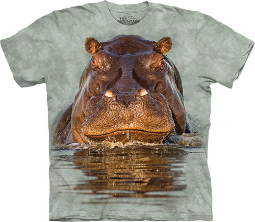  The Mountain - Hippo