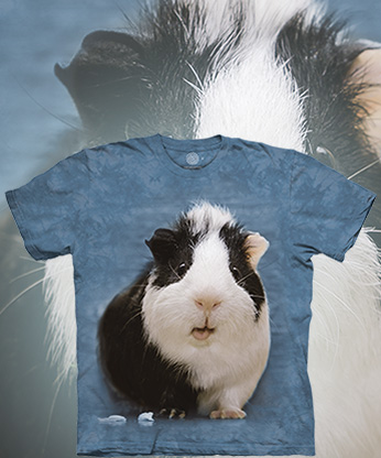  The Mountain - Surprised Guinea Pig -  