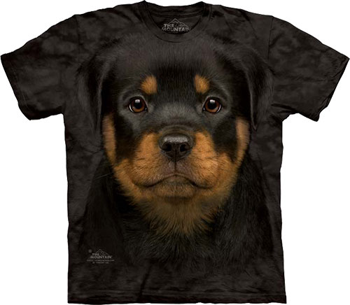  The Mountain - Rottweiler Puppy