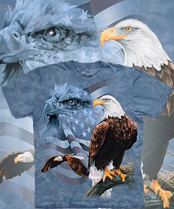  The Mountain - Faded Flag Eagles