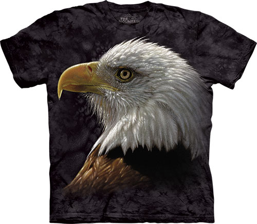  The Mountain - Bald Eagle Portrait