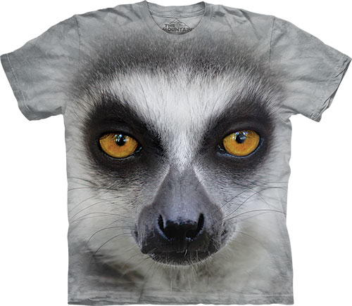  The Mountain - Big Face Ring Tailed Lemur