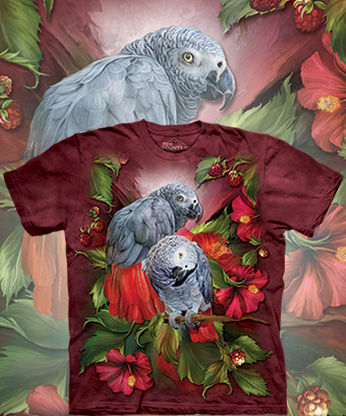  The Mountain - African Gray Mates