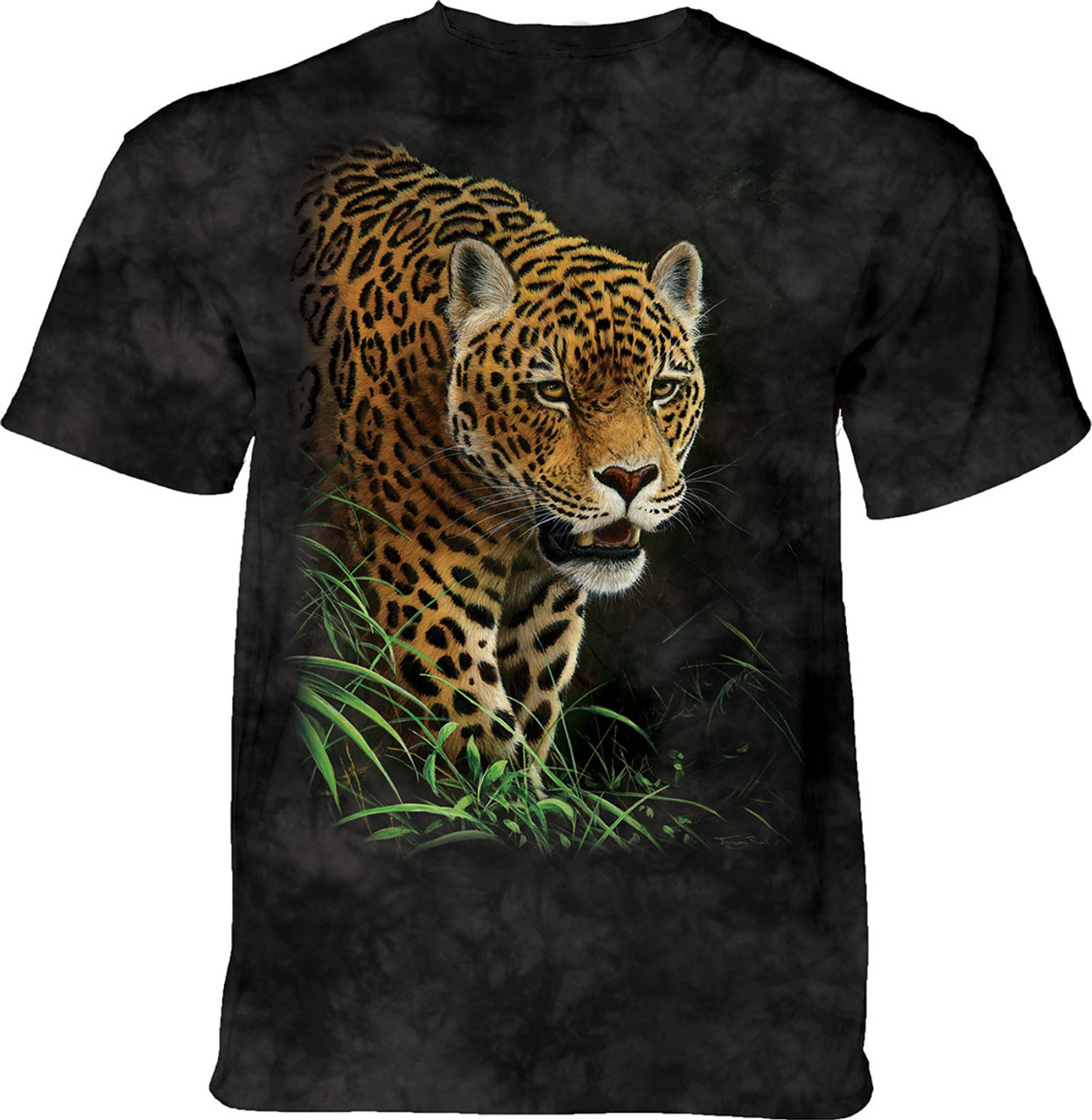  The Mountain - Pantanal Jaguar - 