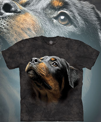 The Mountain - Angel Face Rottie - 