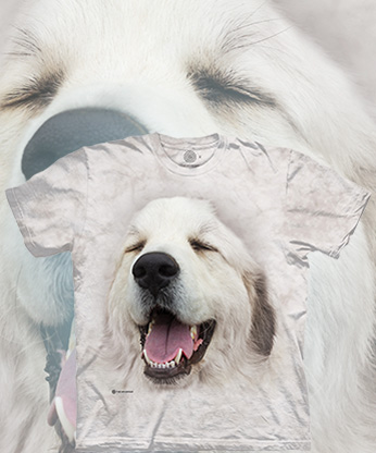  The Mountain - Happy Great Pyrenees -   