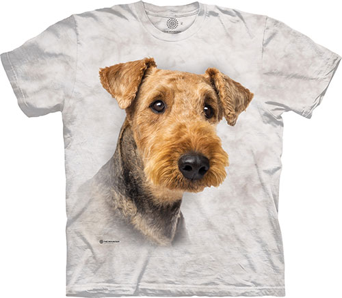  The Mountain - Airedale Portrait - 