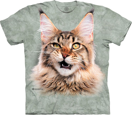  The Mountain - Maine Coon Cat - -