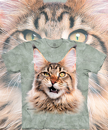  The Mountain - Maine Coon Cat - -