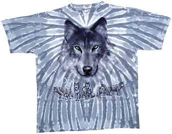  Liquid Blue - Grey Wolf