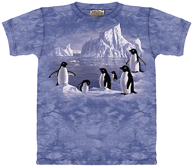  The Mountain - Penguine Family
