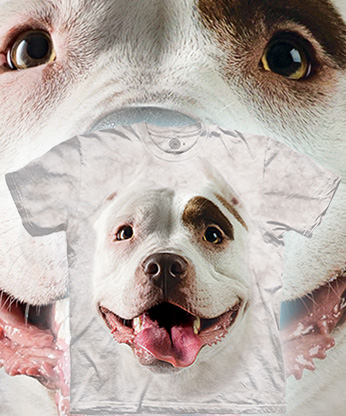  The Mountain - Pitbull Terrier -  