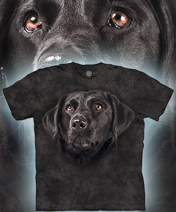  The Mountain - Soulful Black Lab - 