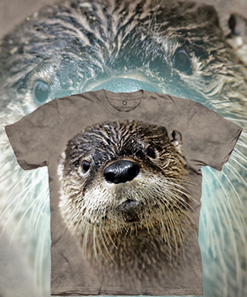 North American River Otter