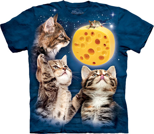 Three Kitten Cheese Moon