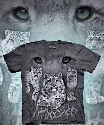 Snow Leopards