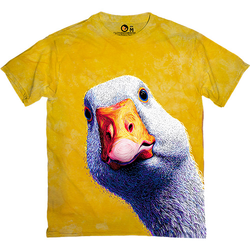 - Curious Goose