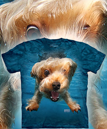 Underwater Brady - 
