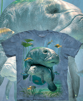 Manatees Collage