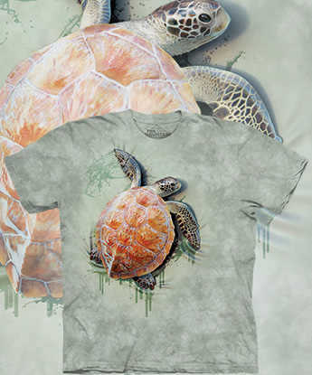  The Mountain - Sea Turtle Climb