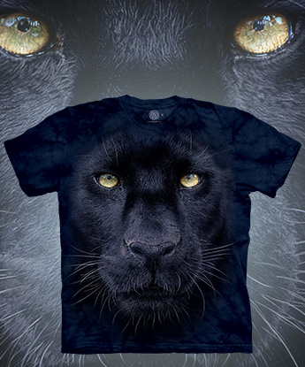  The Mountain - Panther Gaze