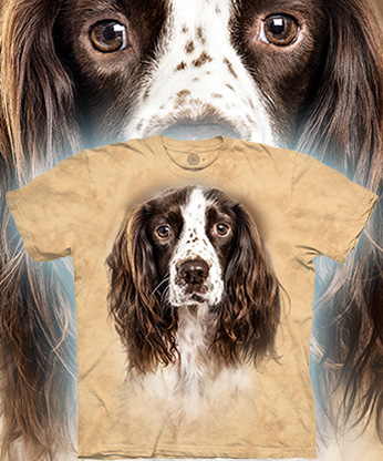  The Mountain - English Springer Spaniel -  -