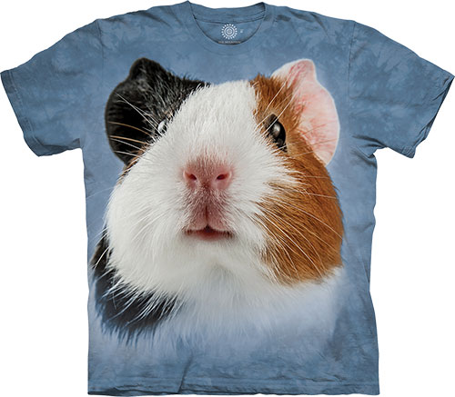  The Mountain - Happy Guinea Pig -  