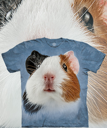  The Mountain - Happy Guinea Pig -  