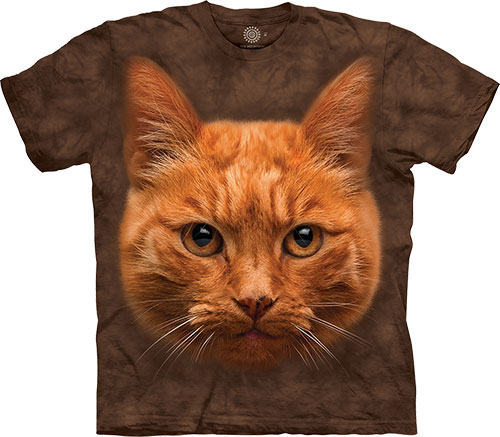  The Mountain - Orange Cat Portrait - 