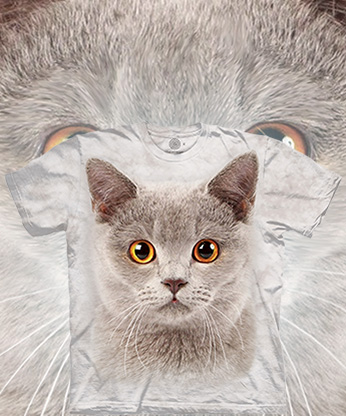 Little Grey Cat Face - 