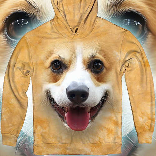 Welsh Corgi Big Face