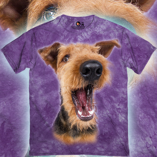 Excited Airedale Terrier в фиолетовом