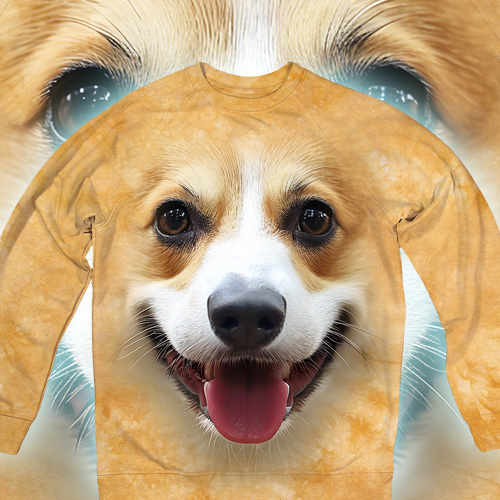 Welsh Corgi Big Face