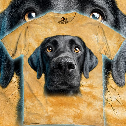 Black Labrador Face