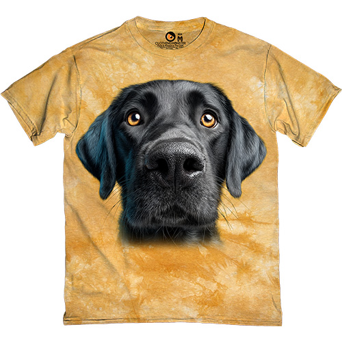  - Black Labrador Face