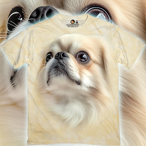 Pekingese Face