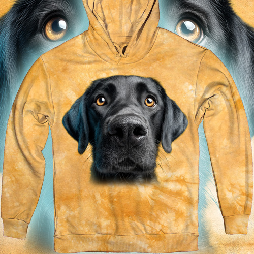Black Labrador Face