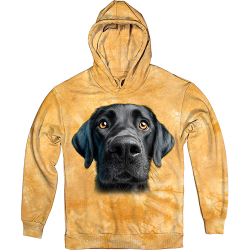  - Black Labrador Face