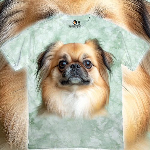 Dreaming Pekingese Face - 