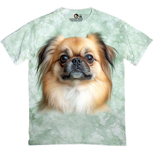  - Dreaming Pekingese Face - 