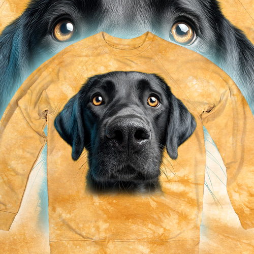 Black Labrador Face